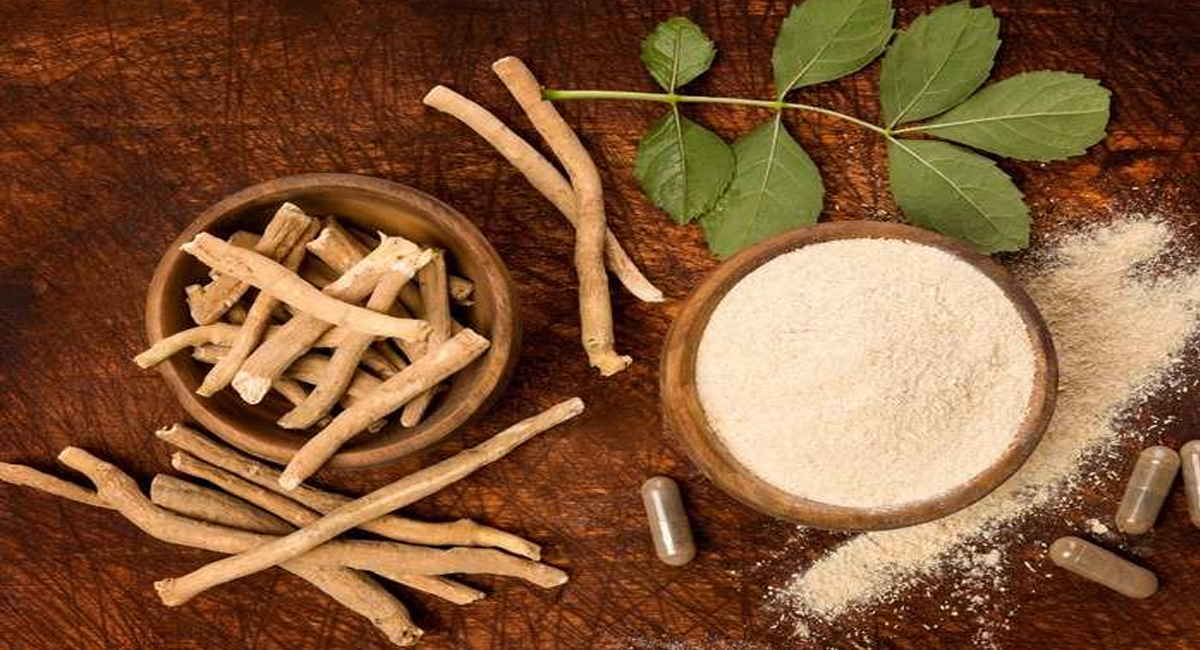 ఆడవాళ్లకు అశ్వగంధ వల్ల ఇన్ని ఉపయోగాలా.. ఈ బెనిఫిట్స్ ను పొందే ఛాన్స్!