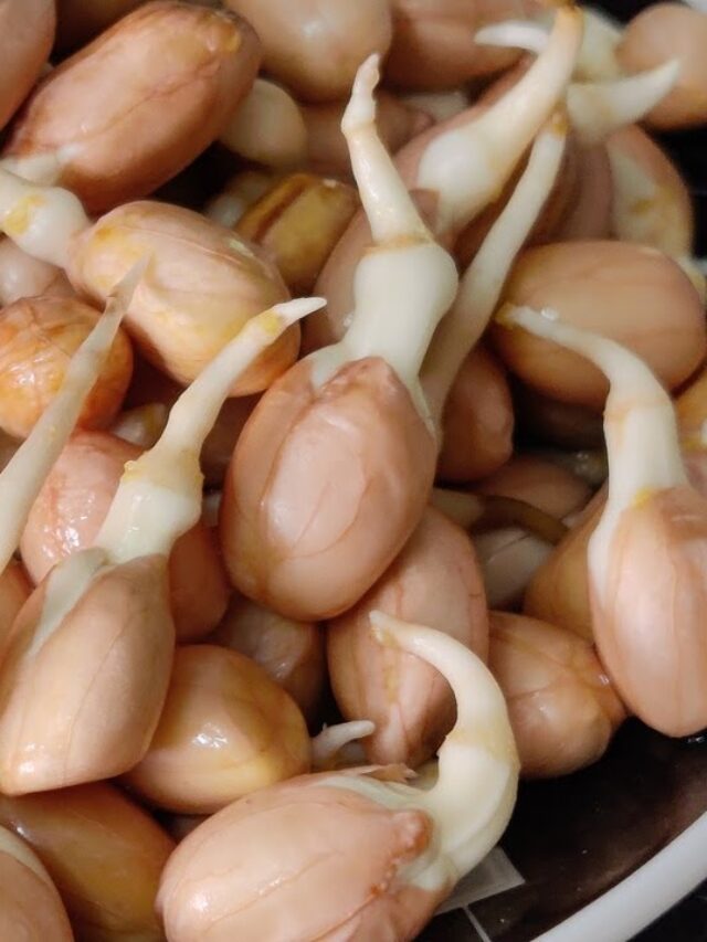 మొలకెత్తిన పల్లీలను ఆహారంగా తీసుకుంటే కలిగే ఆరోగ్య ప్రయోజనాలు ఏంటో తెలిస్తే ఆశ్చర్య పోవాల్సిందే!