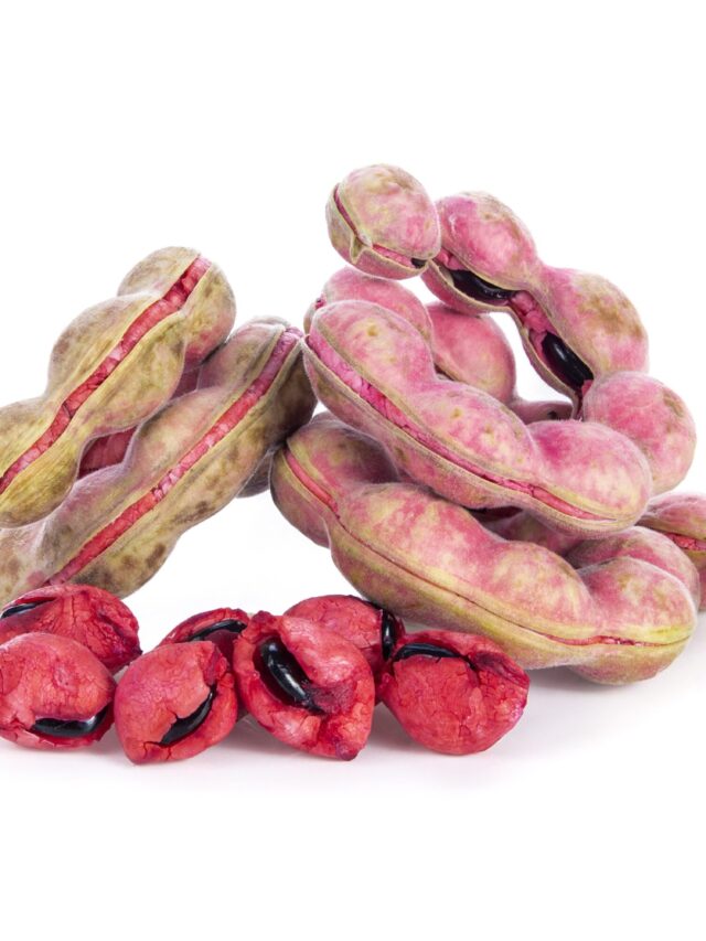 సీమ చింతకాయలు ఎక్కడ కనిపించినా అసలు వదలకండి… వీటి ఆరోగ్య ప్రయోజనాలు తెలిస్తే ఆశ్చర్యపోతారు!