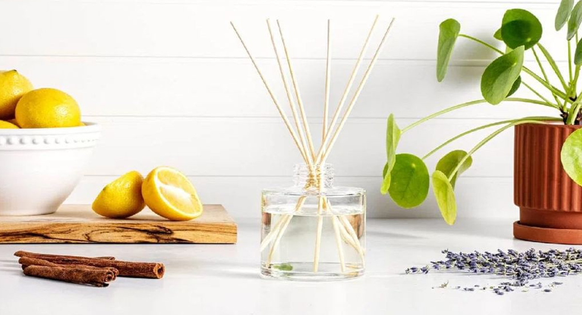 ఇంటి నుంచి చెడు వాసన వస్తుందా…ఈ సహజ చిట్కాలతో చెడు వాసనను తరిమికొట్టండి!