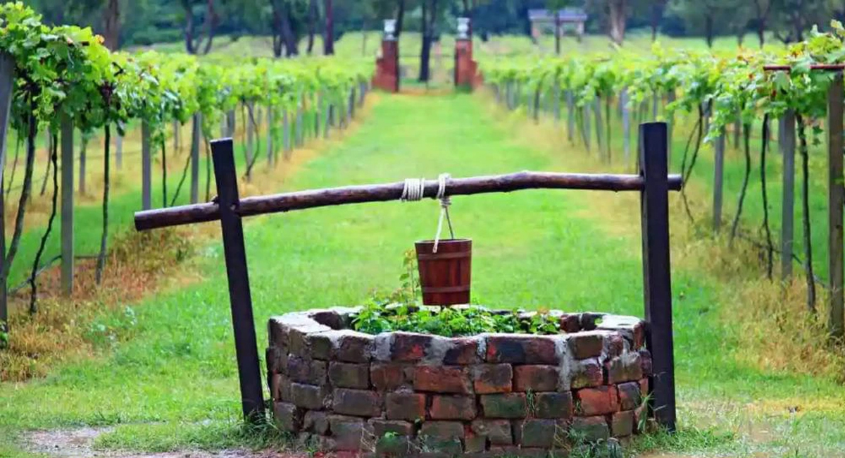 బావులు ఎప్పుడు గుండ్రంగానే ఎందుకు ఉంటాయో తెలుసా… దీని వెనుక ఉన్న కారణం ఏమిటంటే?