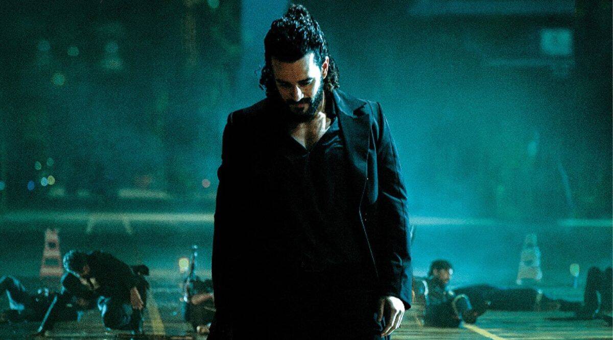 రెండ్రోజుల్లో ఏజెంట్ ఎంతమేర వసూళ్లను రాబట్టిందంటే?