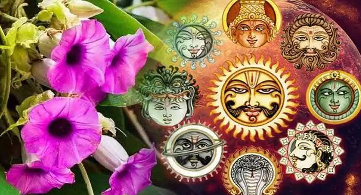 నవగ్రహ దోషాల నివారణకు చేయాల్సిన పూజలు ఇవే.. అలా చేస్తే మాత్రం నష్టపోతారట!