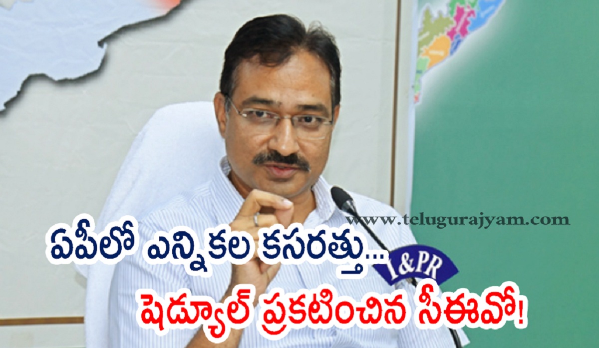 ఏపీలో ఎన్నికల కసరత్తు… షెడ్యూల్ ప్రకటించిన సీఈవో!