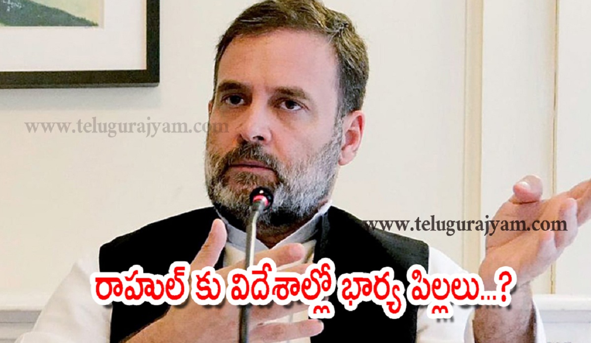 రాహుల్ కు విదేశాల్లో భార్య పిల్లలు… బీజేపీ నేత వివాదాస్పద వ్యాఖ్యలు!