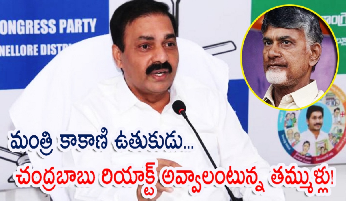మంత్రి కాకాణి సీరియస్… చంద్రబాబు రియాక్ట్ అవ్వాలంటున్న తమ్ముళ్లు!