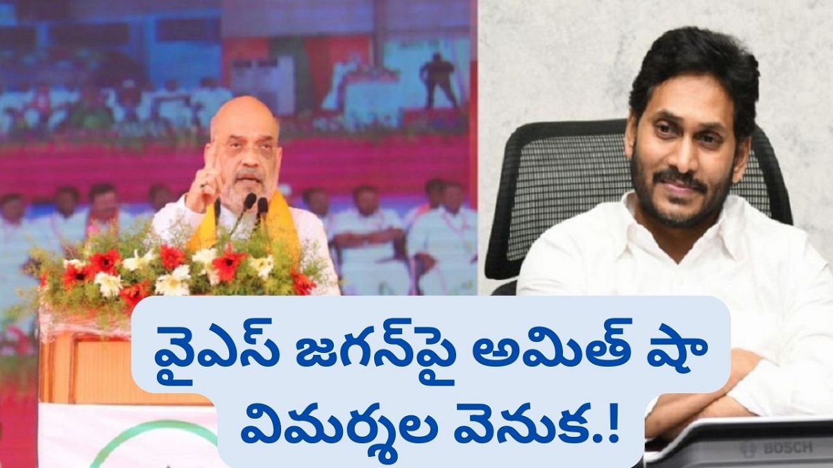 వైఎస్ జగన్‌పై అమిత్ షా విమర్శల వెనుక.!