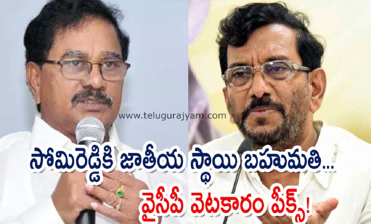 సోమిరెడ్డికి జాతీయ స్థాయి బహుమతి.. వైసీపీ వెటకారం పీక్స్!