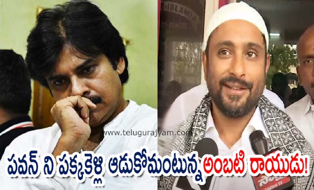 పవన్ ని పక్కకెళ్లి ఆడుకోమంటున్న అంబటి రాయుడు!