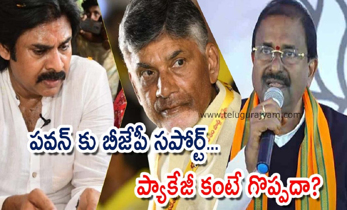 పవన్ కు బీజేపీ సపోర్ట్… ప్యాకేజీ కంటే గొప్పదా?