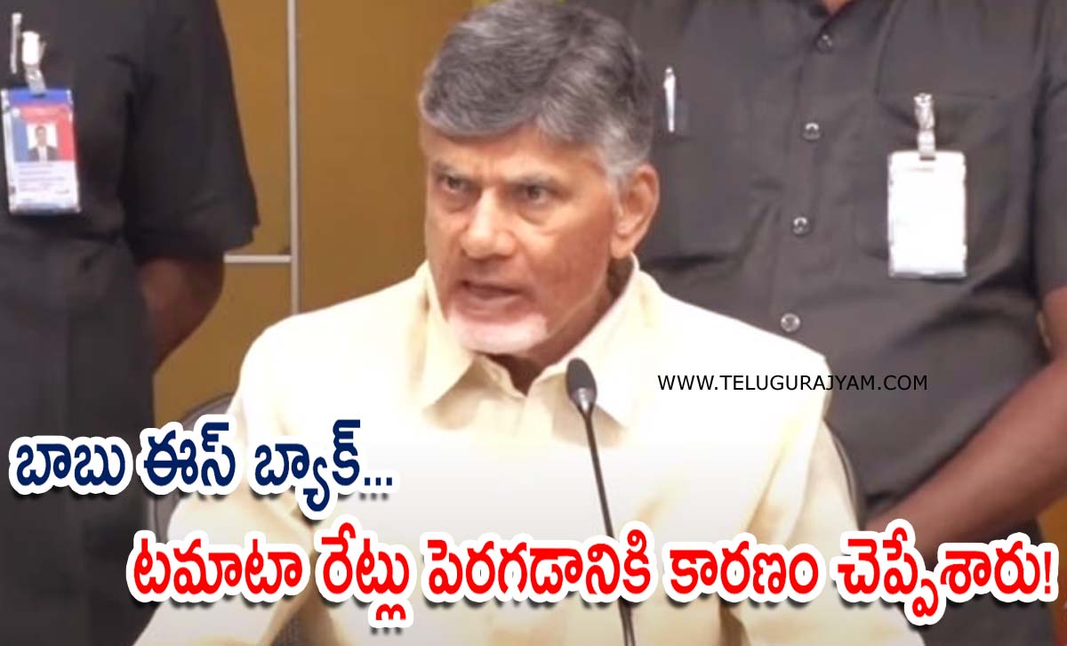 బాబు ఈస్ బ్యాక్… టమాటా రేట్లు పెరగడానికి కారణం చెప్పేశారు!