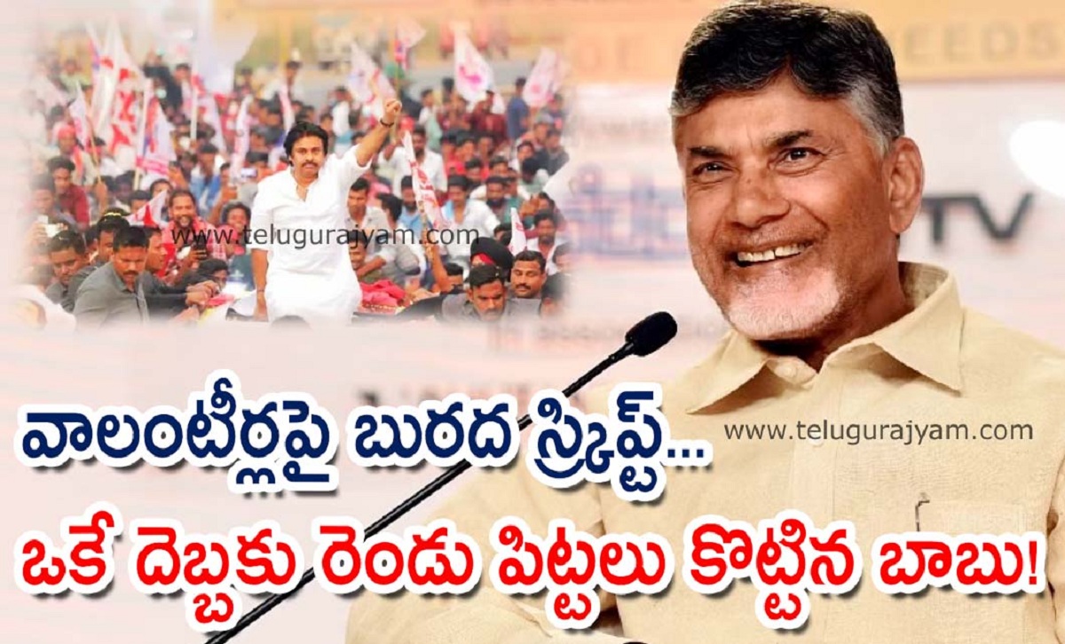 వాలంటీర్లపై బురద స్క్రిప్ట్… ఒకే దెబ్బకు రెండు పిట్టలు కొట్టిన బాబు!