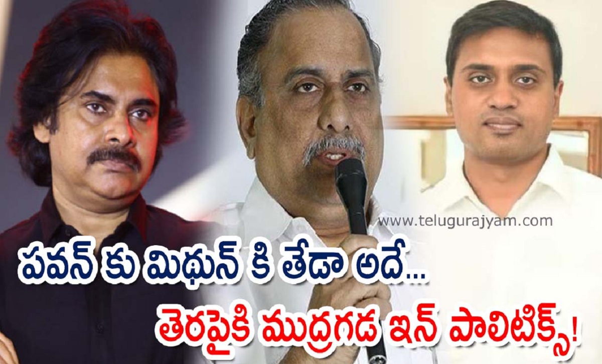 పవన్ కు మిథున్ కి తేడా అదే… తెరపైకి ముద్రగడ ఇన్ పాలిటిక్స్!