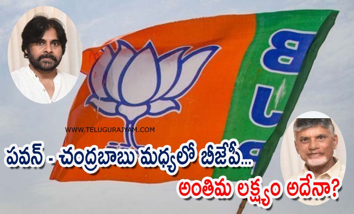 పవన్ – చంద్రబాబు మధ్యలో బీజేపీ… అంతిమలక్ష్యం అదేనా?