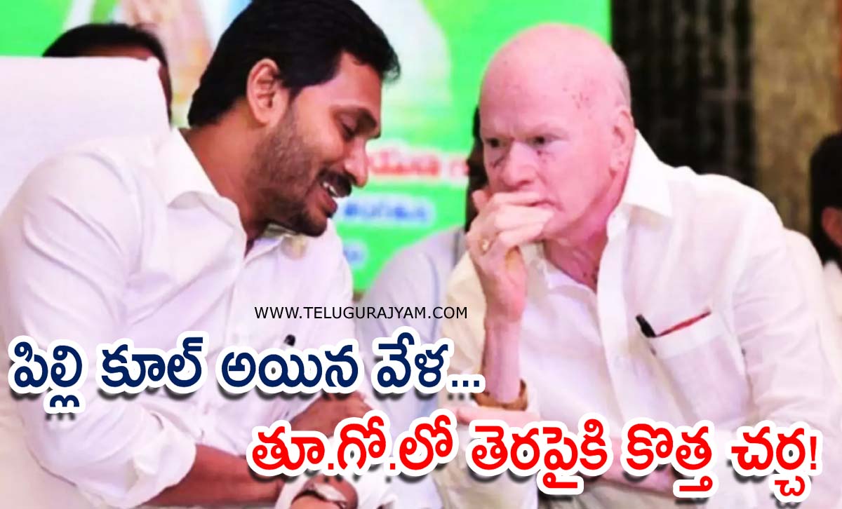 పిల్లి కూల్ అయిన వేళ… తూ.గో.లో తెరపైకి కొత్త చర్చ!