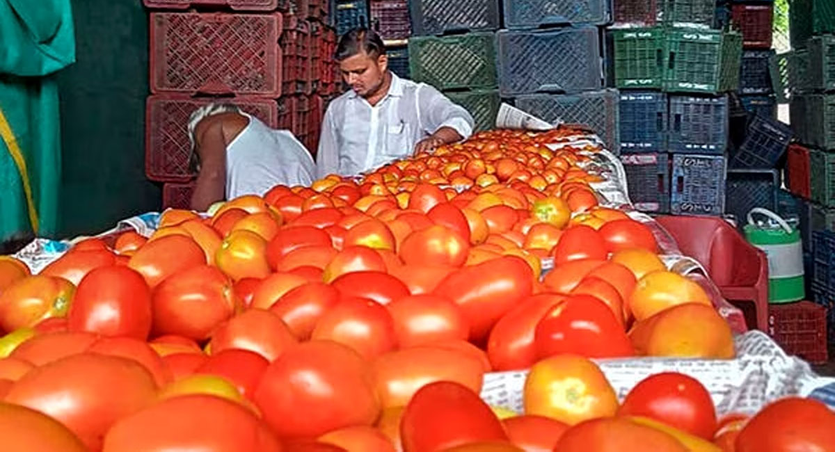 అక్కడ టమోటాలు కేవలం 70 రూపాయలు మాత్రమే.. సులువుగా ఎలా ఆర్డర్ చేయాలంటే?