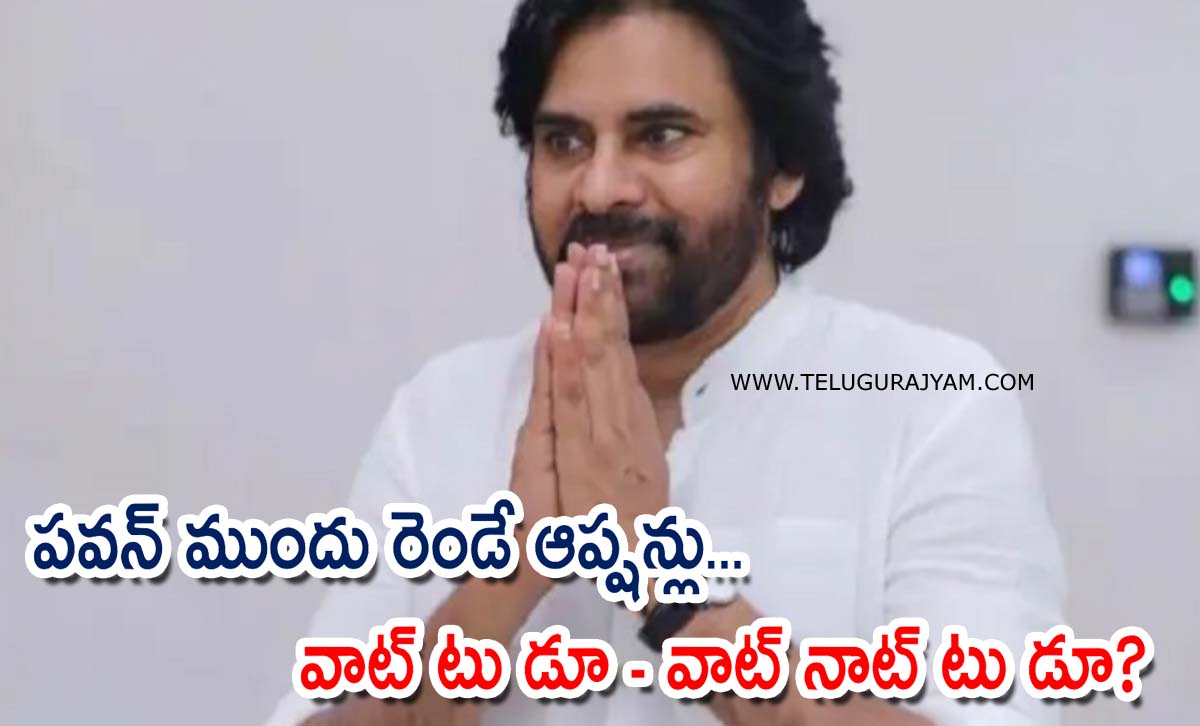 పవన్ ముందు రెండే ఆప్షన్లు… వాట్ టు డూ – వాట్ నాట్ టు డూ?