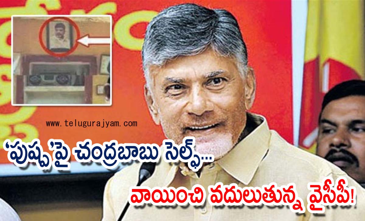 “పుష్ప”పై చంద్రబాబు సెల్ఫ్… వాయించి వదులుతున్న వైసీపీ!