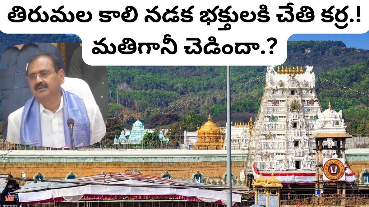 తిరుమల కాలి నడక భక్తులకి చేతి కర్ర.! మతిగానీ చెడిందా.?