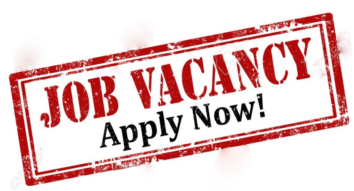 ఏపీలోని నిరుద్యోగులకు అదిరిపోయే తీపికబురు.. భారీ వేతనంతో 875 ఉద్యోగ ఖాళీలు?