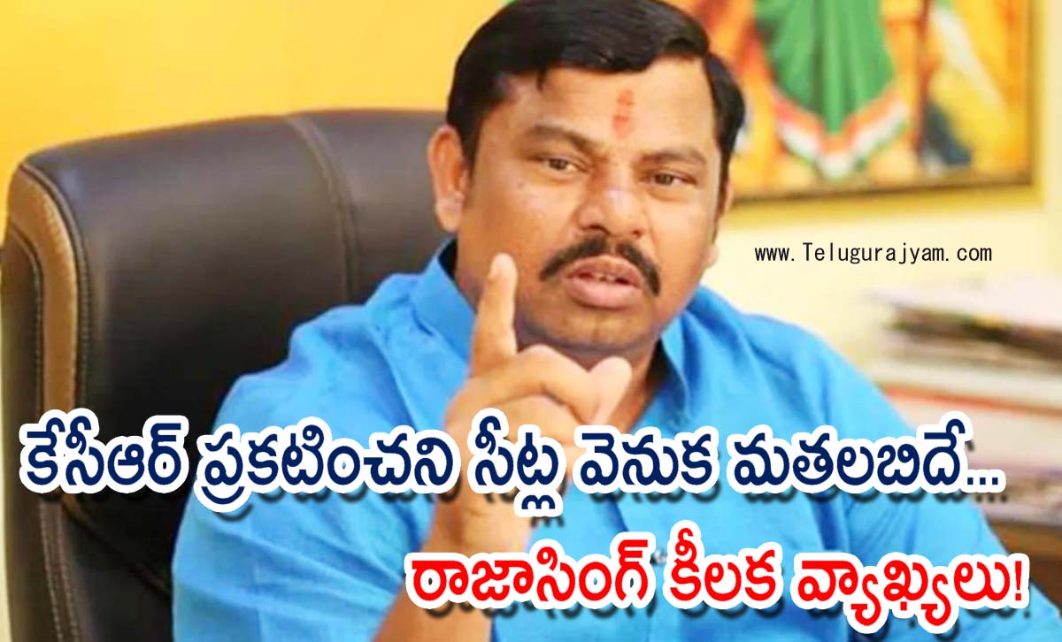 కేసీఆర్ ప్రకటించని సీట్ల వెనుక మతలబిదే… రాజాసింగ్ కీలక వ్యాఖ్యలు!