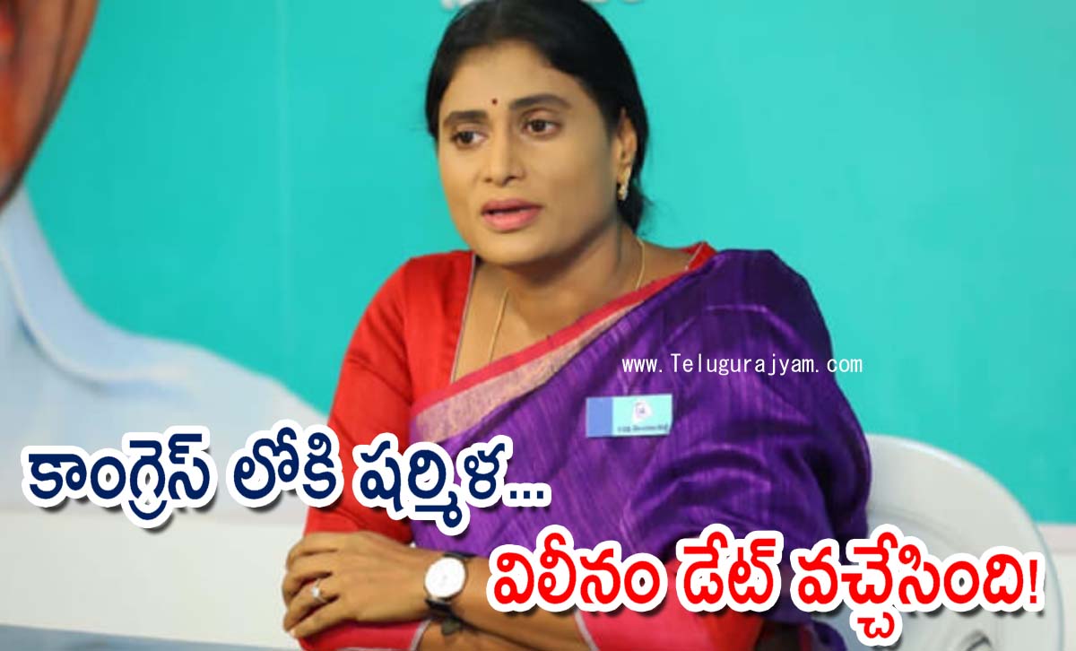 కాంగ్రెస్  లోకి షర్మిళ… విలీనం డేట్  వచ్చేసింది!