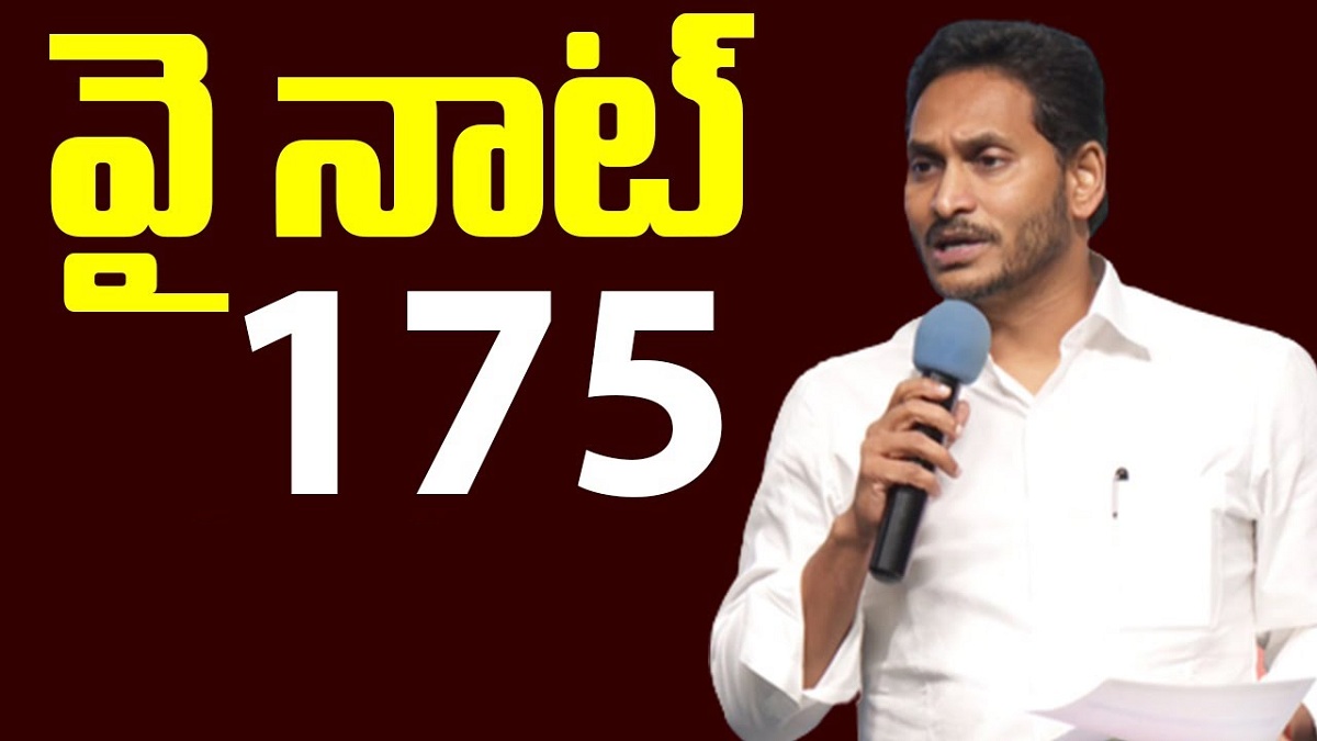 వై నాట్ 175.! నో కాంప్రమైజ్ అంతే.!