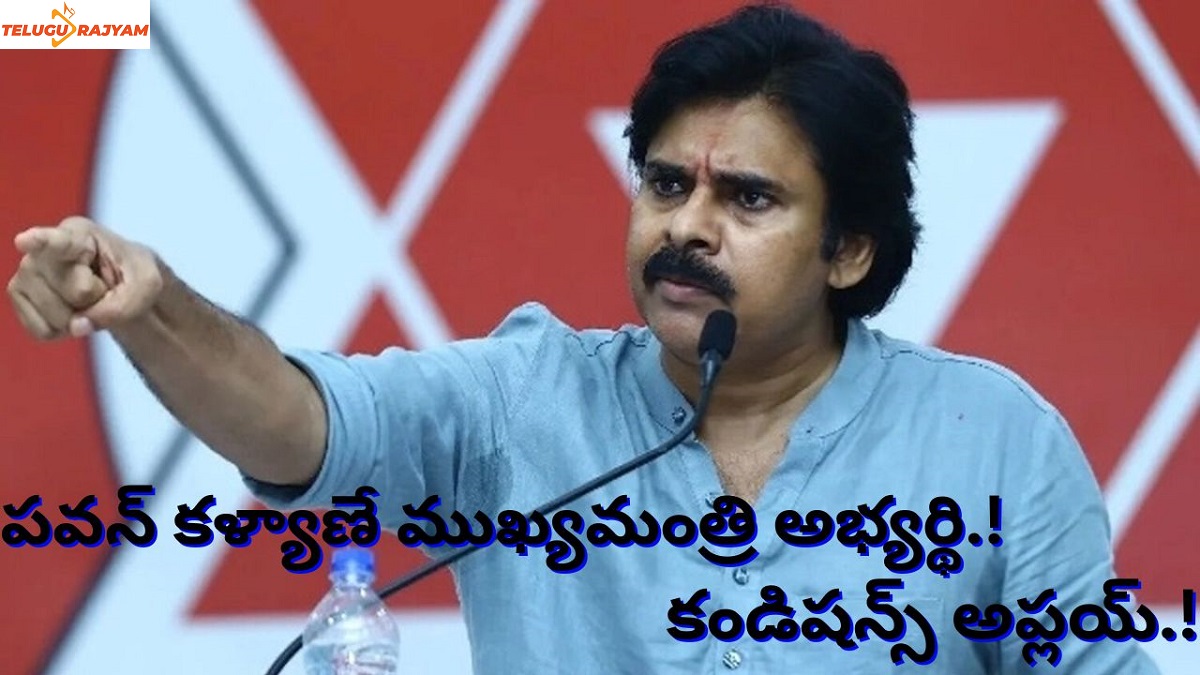 పవన్ కళ్యాణే ముఖ్యమంత్రి అభ్యర్థి.! కండిషన్స్ అప్లయ్.!