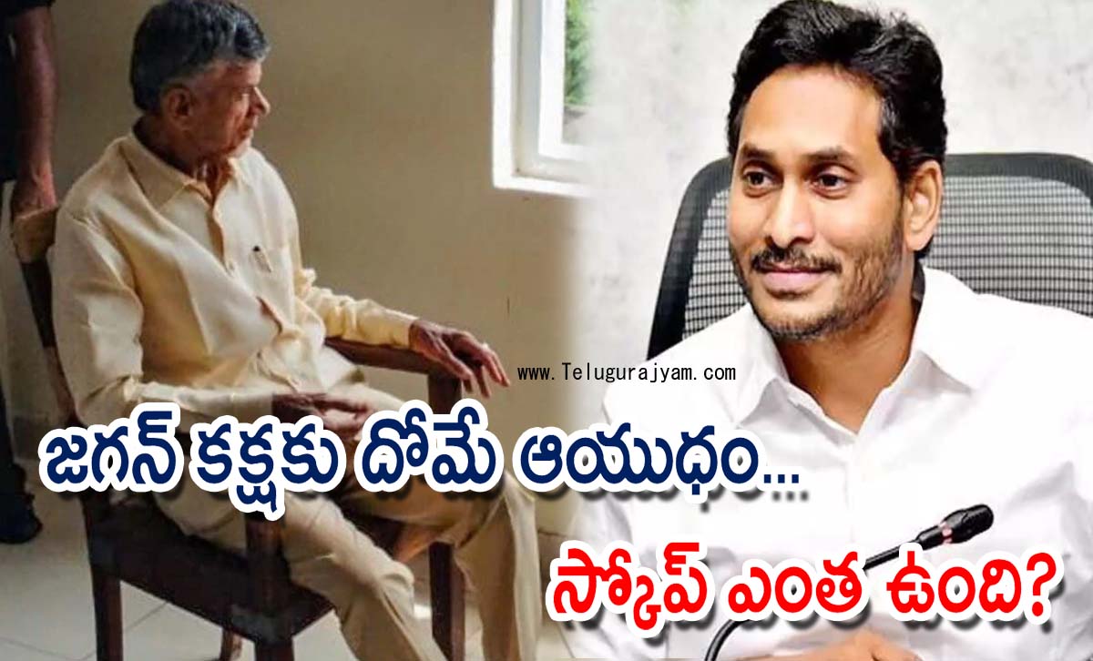 జగన్ కక్షకు దోమే ఆయుధం… స్కోప్ ఎంత ఉంది?