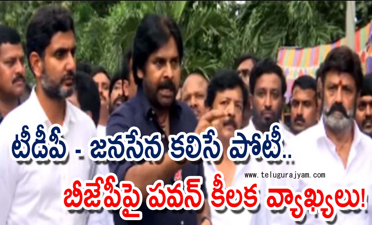 టీడీపీ – జనసేన కలిసే పోటీ చేస్తాయి.. బీజేపీపై పవన్ కీలక వ్యాఖ్యలు!