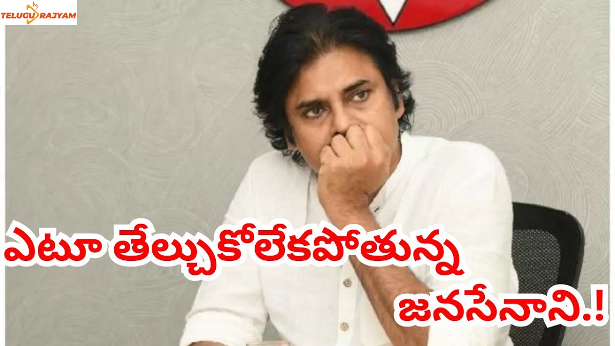 ఎటూ తేల్చుకోలేకపోతున్న జనసేనాని.!