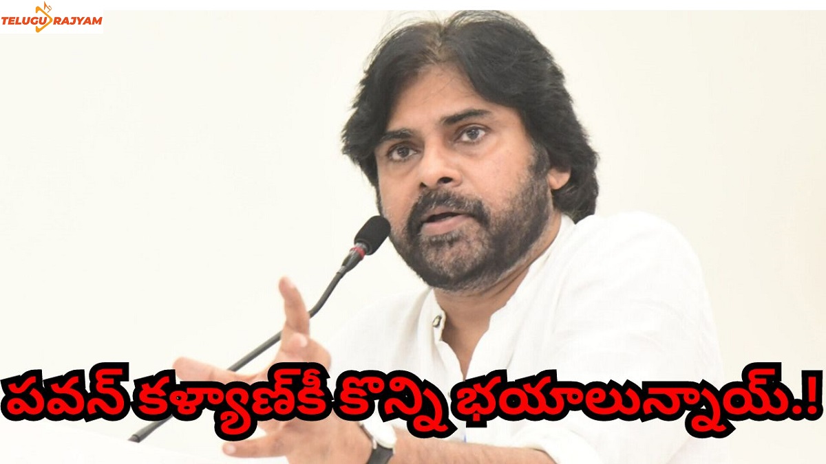 పవన్ కళ్యాణ్‌కీ కొన్ని భయాలున్నాయ్.!