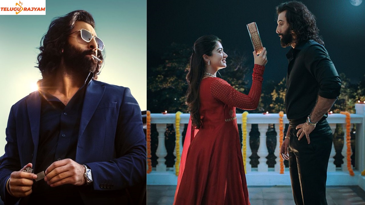 బాక్సాఫీస్ : మరో డే మరో రికార్డ్ తో “ఆనిమల్” వసూళ్లు.!