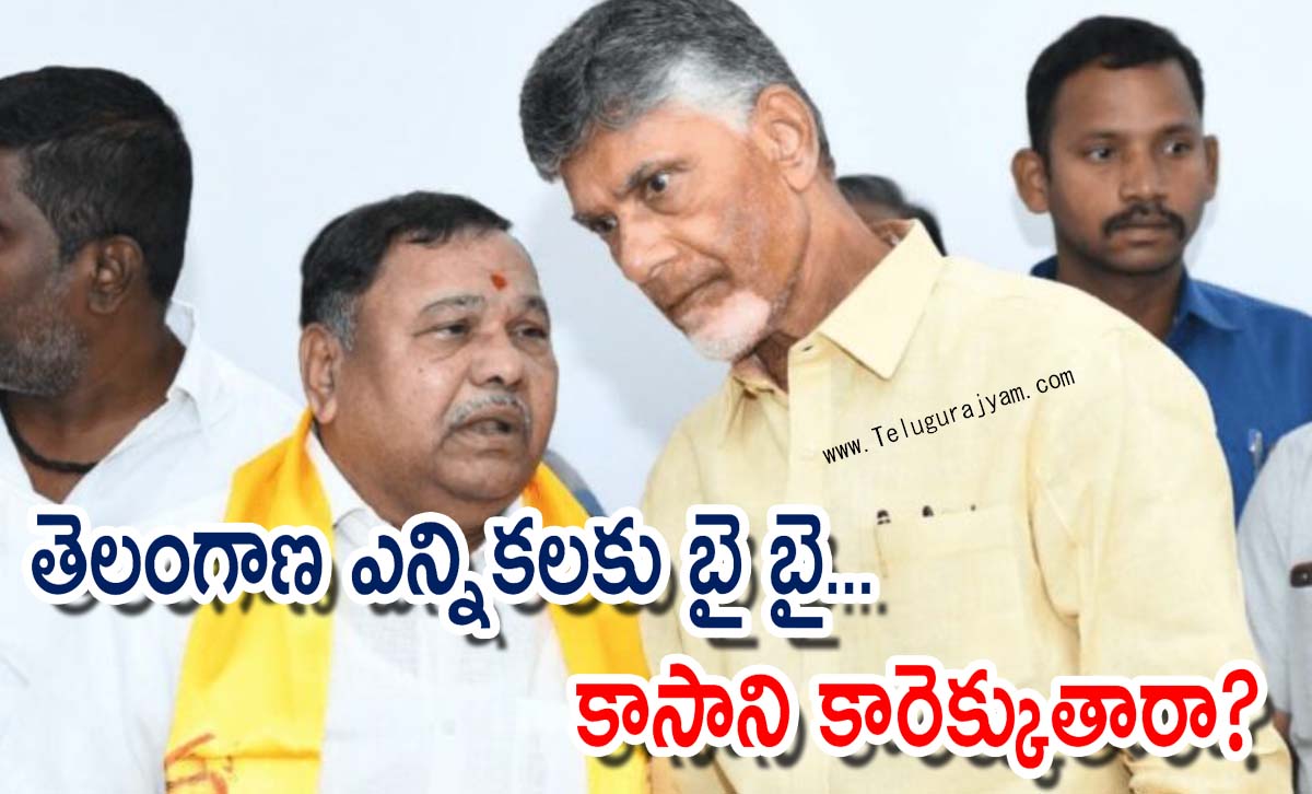 తెలంగాణ ఎన్నికలకు బై బై… కాసాని కారెక్కుతారా?