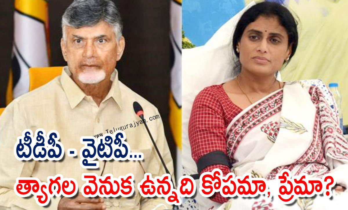 టీడీపీ-వైటిపీ… త్యాగల వెనుక ఉన్నది కోపమా, ప్రేమా?