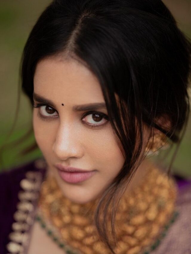 Nabha Natesh Looks Fabulous in Silk Violet Saree