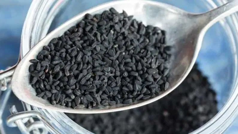 కలోంజి విత్తనాలు తినడం వల్ల ఇన్ని లాభాలు ఉన్నాయా.. ఆ సమస్యలు దూరమవుతాయా?