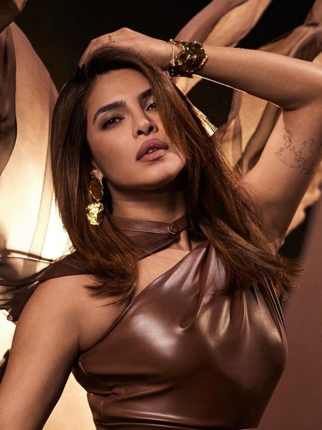 Priyanka Chopra Sizzling Pics in Brown Outfit