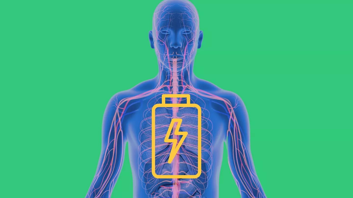 శరీరంలో వేడి పెరగడానికి కారణాలివే.. వేడిని సులువుగా తగ్గించే అద్భుతమైన ఆహారాలివే!