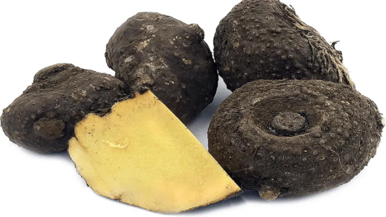 కందగడ్డ తినడం వల్ల ఇన్ని లాభాలా.. ఇన్ని ప్రమాదకర సమస్యలు దూరమవుతాయా?