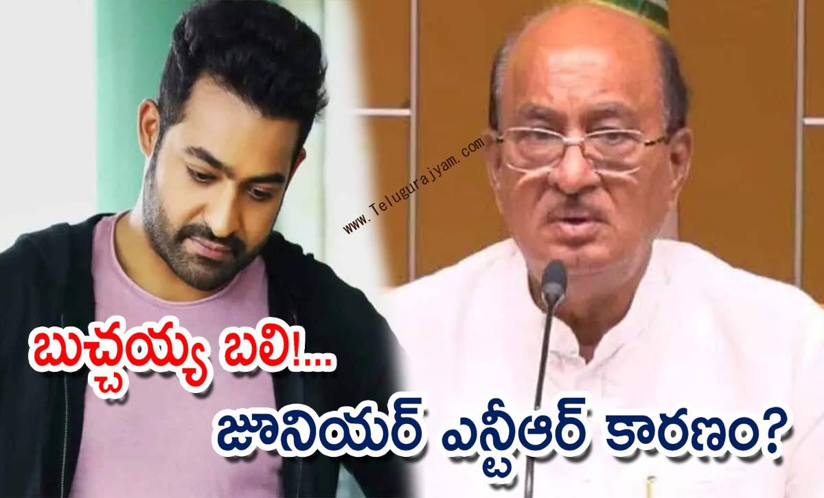 బుచ్చయ్య బలి!… జూనియర్ ఎన్టీఆర్ కారణం?