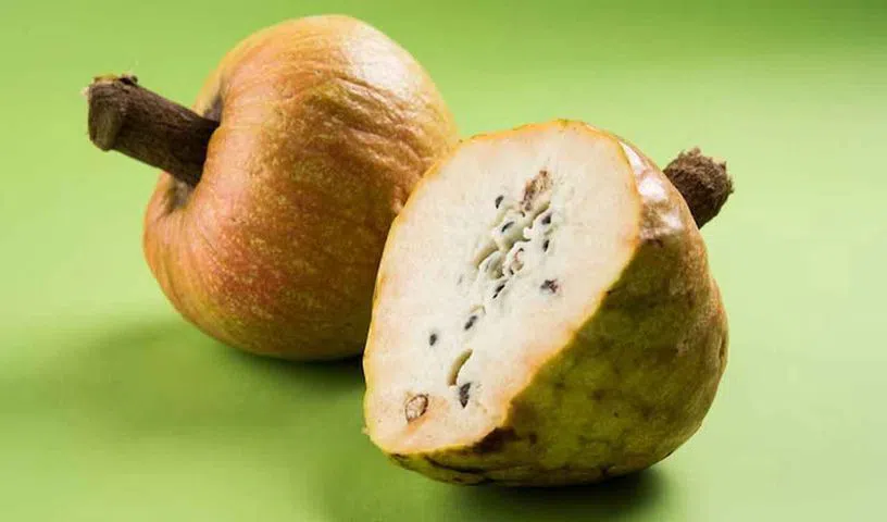 రామఫలం హెల్త్ బెనిఫిట్స్ మీకు తెలుసా.. ఈ పండ్లు తింటే వ్యాధులు దరి చేరవా?