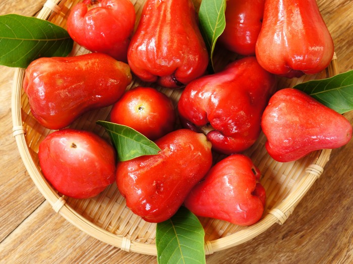 మలై యాపిల్ తింటే కిడ్నీ, క్యాన్సర్ సమస్యలకు చెక్.. ఈ పండ్ల వల్ల ఇన్ని లాభాలు ఉన్నాయా?