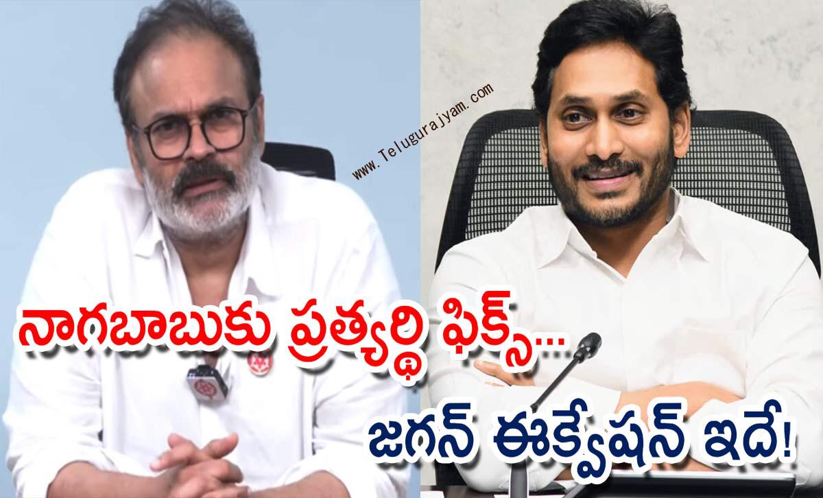నాగబాబుకు ప్రత్యర్థి ఫిక్స్… జగన్ ఈక్వేషన్ ఇదే!