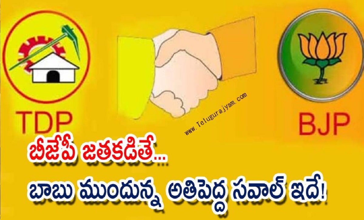 బీజేపీ జతకడితే… బాబు ముందున్న అతిపెద్ద సవాల్ ఇదే!