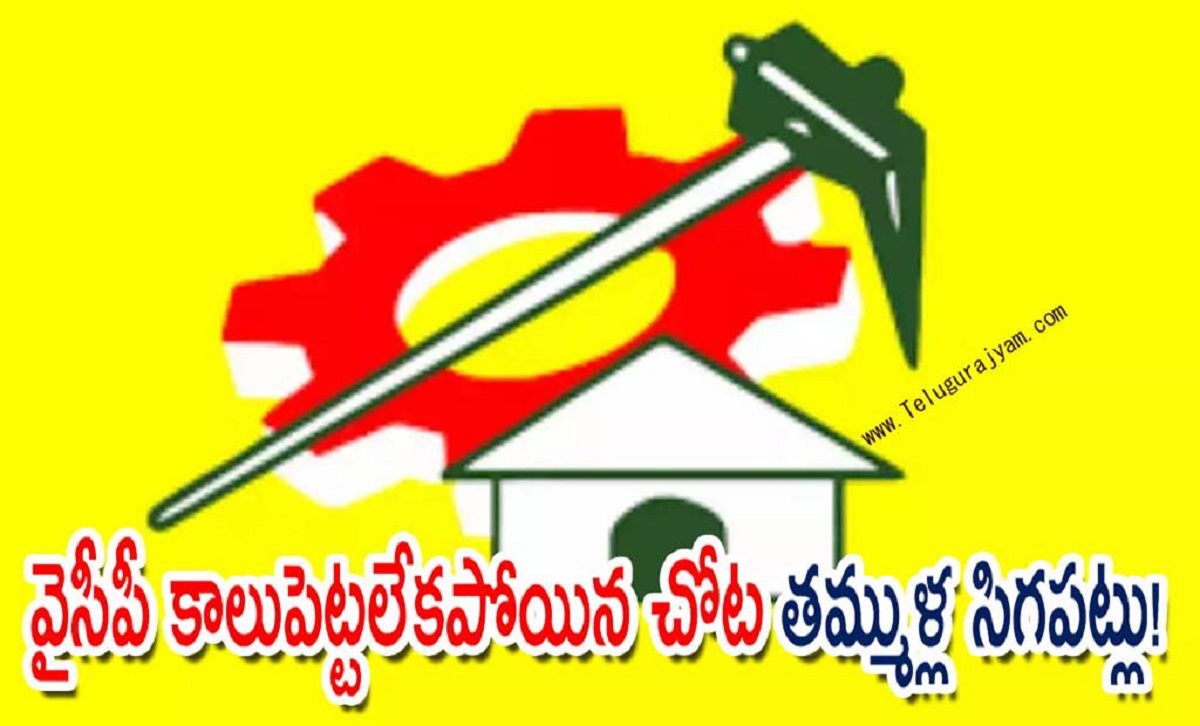 వైసీపీ కాలుపెట్టలేకపోయిన చోట తమ్ముళ్ల సిగపట్లు!