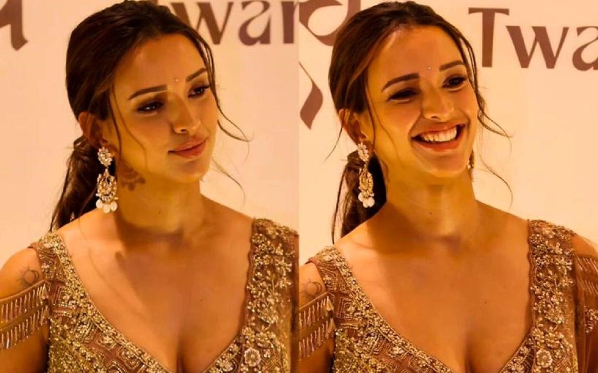 పెళ్ళికి తొందర లేదంటున్న తృప్తి డిమ్రి!