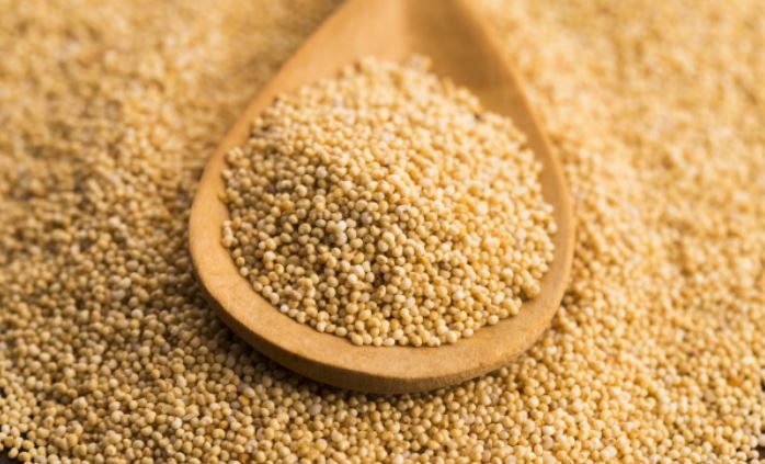 మధుమేహం, గుండె సమస్యలకు చెక్ పెట్టే గసగసాలు.. ఈ చిట్కాలు పాటిస్తే ఆ సమస్యలకు చెక్!