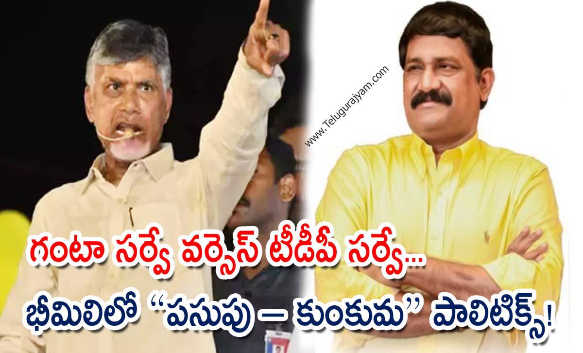 గంటా సర్వే వర్సెస్ టీడీపీ సర్వే… భీమిలిలో “పసుపు – కుంకుమ” పాలిటిక్స్!