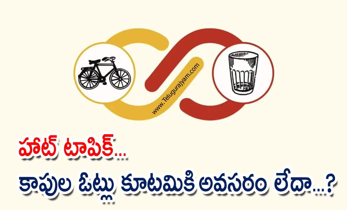 హాట్ టాపిక్… కాపుల ఓట్లు కూటమికి అవసరం లేదా…?